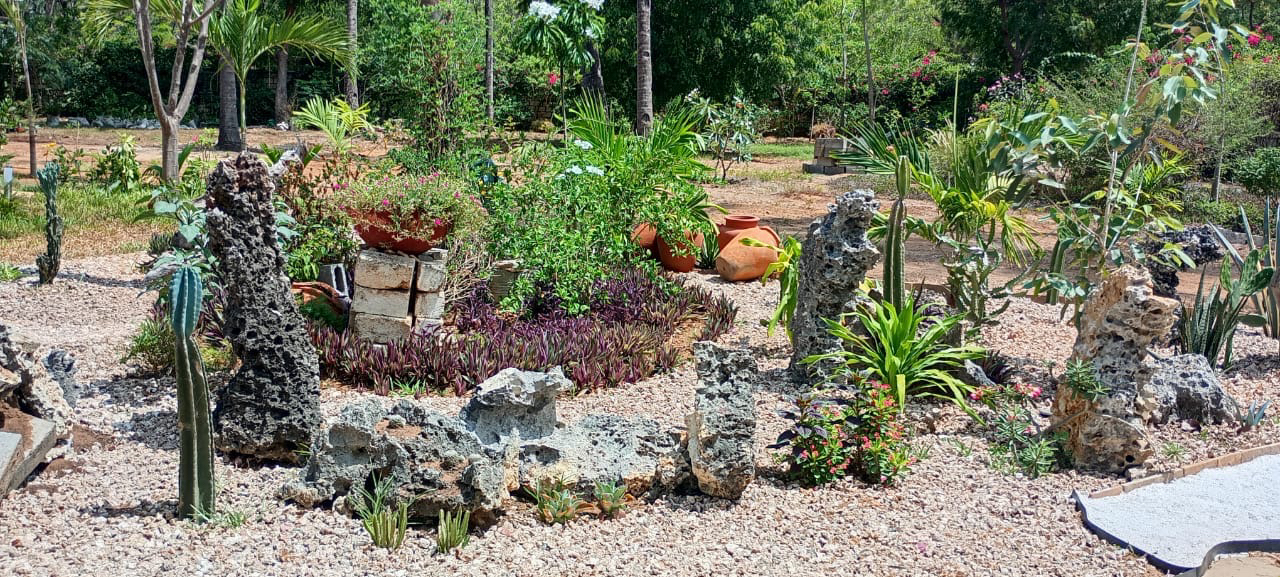 Tropical garden